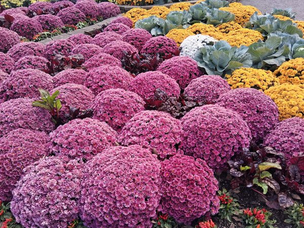 Idées tendances pour des tasses parrain marraine à bas prix